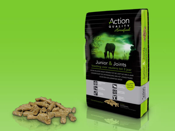 Junior & Joints